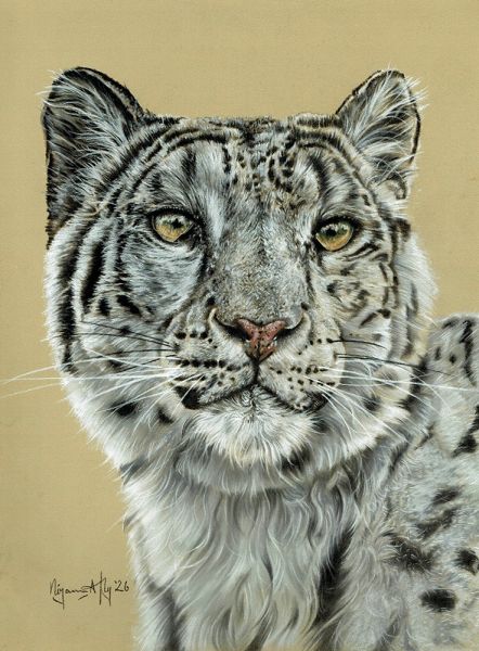 snowleopard1n