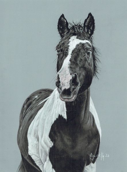 solhorse1n
